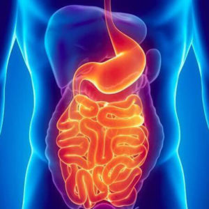 Gastro Intestinal